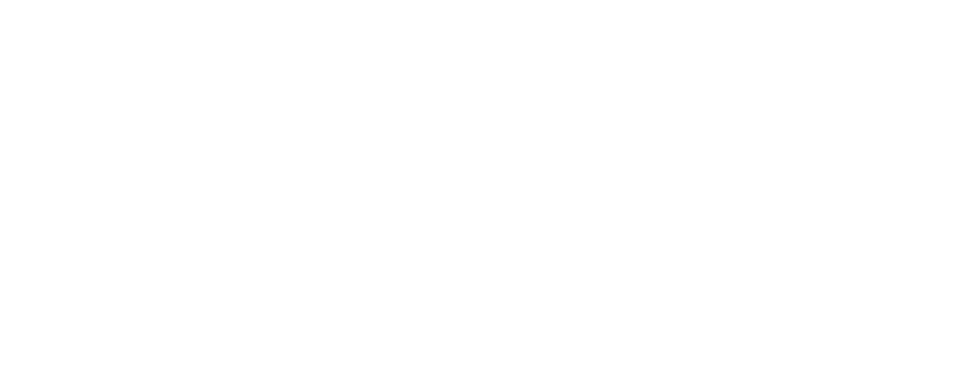 Tru Choice Financial Group logo white