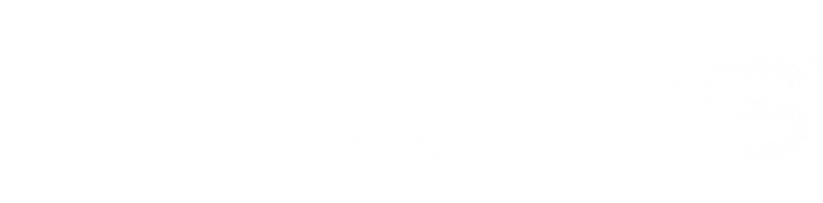 Dexis Logo white